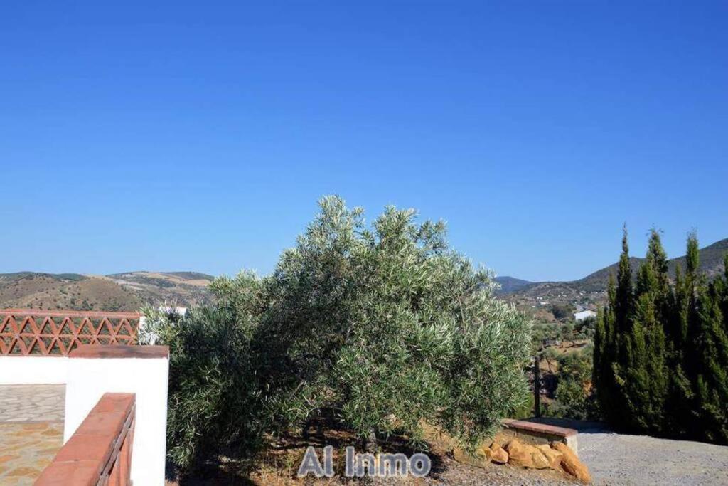 Las Palmeras - Ein Stueck Vom Paradies - Behagliches Haus Mit Pool Algodonales Εξωτερικό φωτογραφία
